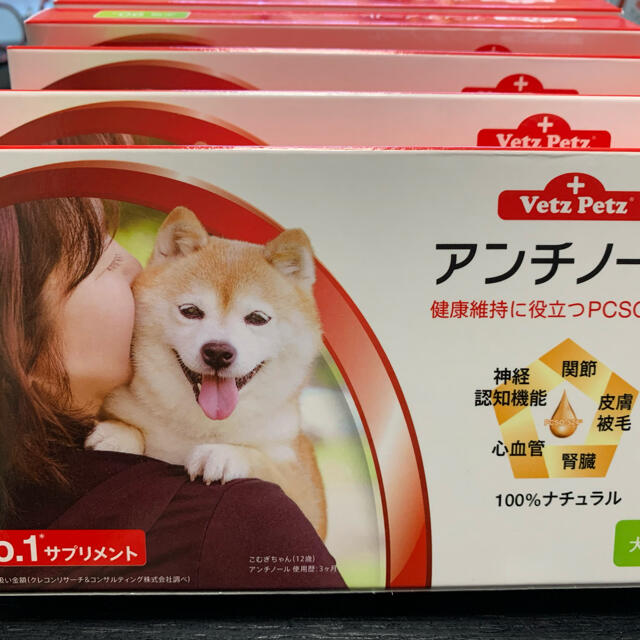 アンチノール犬用90粒1ケース