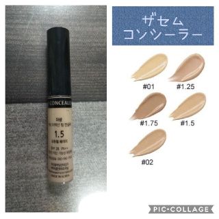 ザセム(the saem)のザ　セム　カバーパーフェクション　チップコンシーラー(コンシーラー)