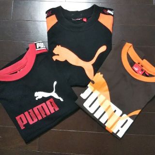 プーマ(PUMA)のPUMA  Tシャツ  3枚セット  140㎝(Tシャツ/カットソー)