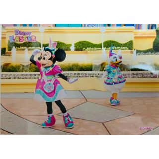 ディズニー(Disney)のディズニー　スペシャルフォト　うさたま　2021(写真)