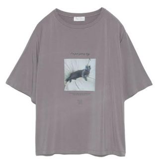 Tシャツ(シャツ)