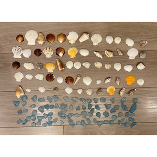 貝殻とシーグラス(ウェルカムボード)