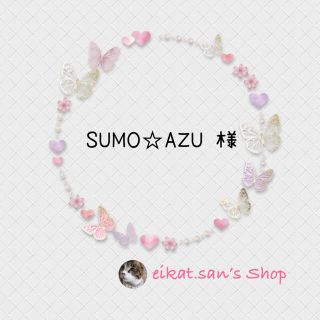 SUMO☆AZU様 専用ページ(リード/首輪)