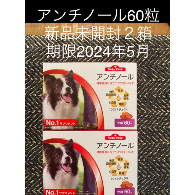 犬用アンチノール60粒入り新品未開封20箱