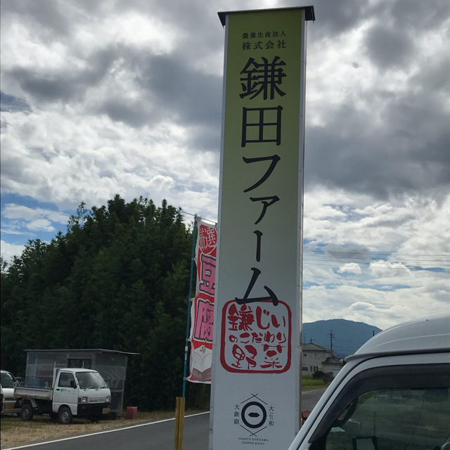 農家直送　奈良県産むきニンニク 食品/飲料/酒の食品(野菜)の商品写真