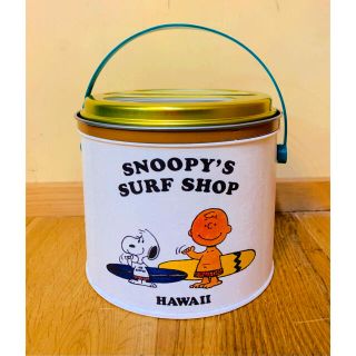 スヌーピー(SNOOPY)のハンドメイド　サーフスヌーピー　蚊取り線香ホルダー　多肉植物　サボテン(その他)