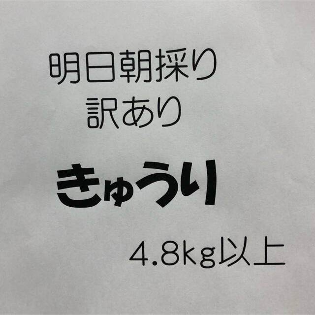 朝採り　訳ありきゅうり　4.8kg 食品/飲料/酒の食品(野菜)の商品写真