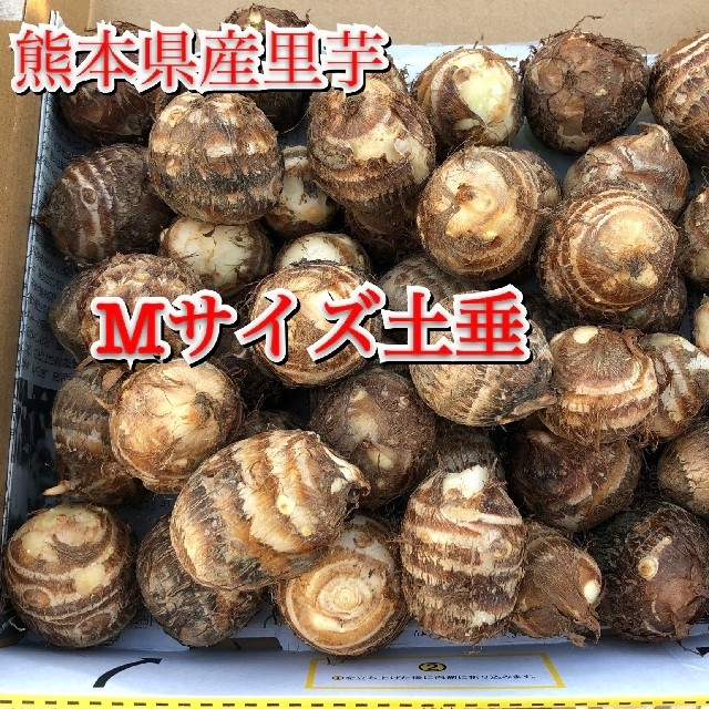 blueblue様専用ふっくら里芋SMサイズ1kg 食品/飲料/酒の食品(野菜)の商品写真