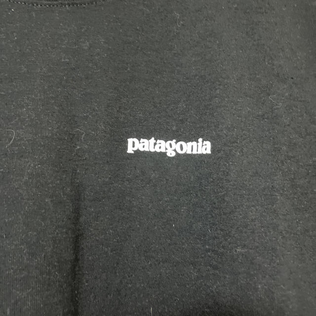 patagonia(パタゴニア)のパタゴニア Tシャツ ブラック メンズのトップス(Tシャツ/カットソー(半袖/袖なし))の商品写真