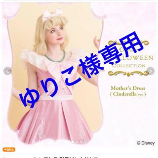 シークレットハニー(Secret Honey)のシンデレラ　形見バージョン　(付属品付き)パニエセット　ゆりこ様専用(衣装一式)