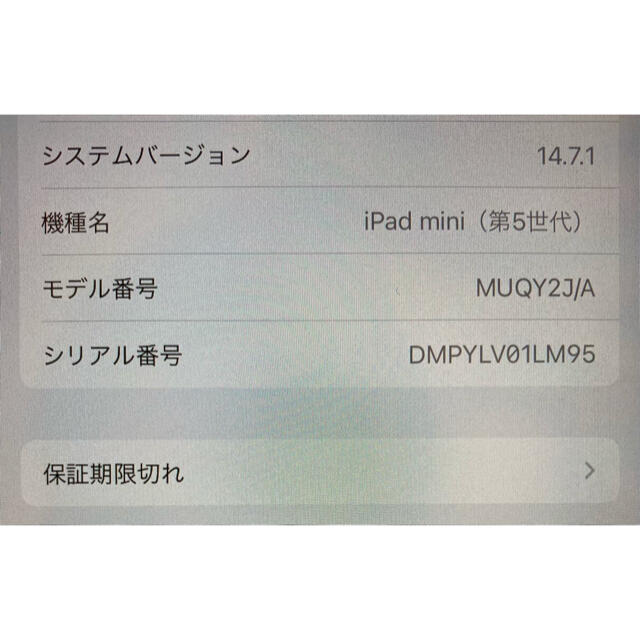 iPad mini 第5世代 64GB ゴールド Apple Pencil付き