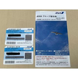 エーエヌエー(ゼンニッポンクウユ)(ANA(全日本空輸))のANA 全日空 株主優待 22年5月末まで(その他)