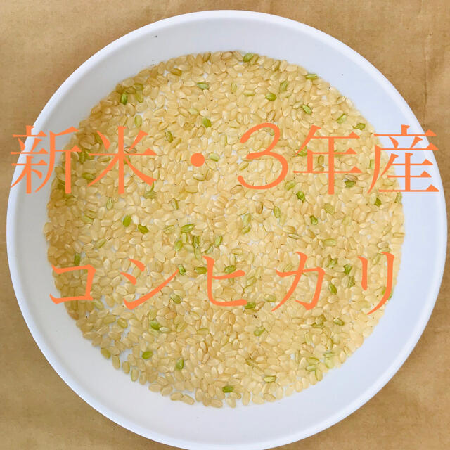 新米・令和3年産『特別栽培米・丹後産コシヒカリ』送料無料、精米サービスします。　食品
