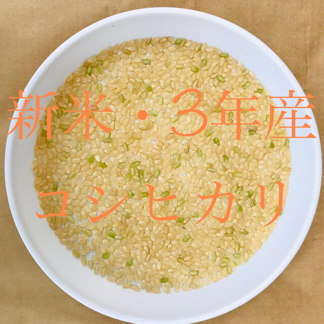 正規品SALE SARA様専用の通販 by Ame Ni Mo Makezu's shop|ラクマ を