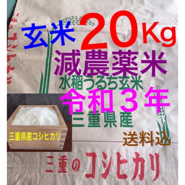減農薬米  令和３年新米　三重県産 コシヒカリ　玄米２０キロ  10kg×2袋⑥