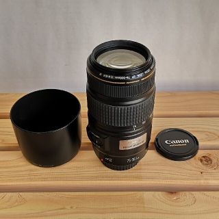 キヤノン(Canon)の⭐CanonZoom Rens EF75-300 1:4-5.6 IS USM(レンズ(ズーム))