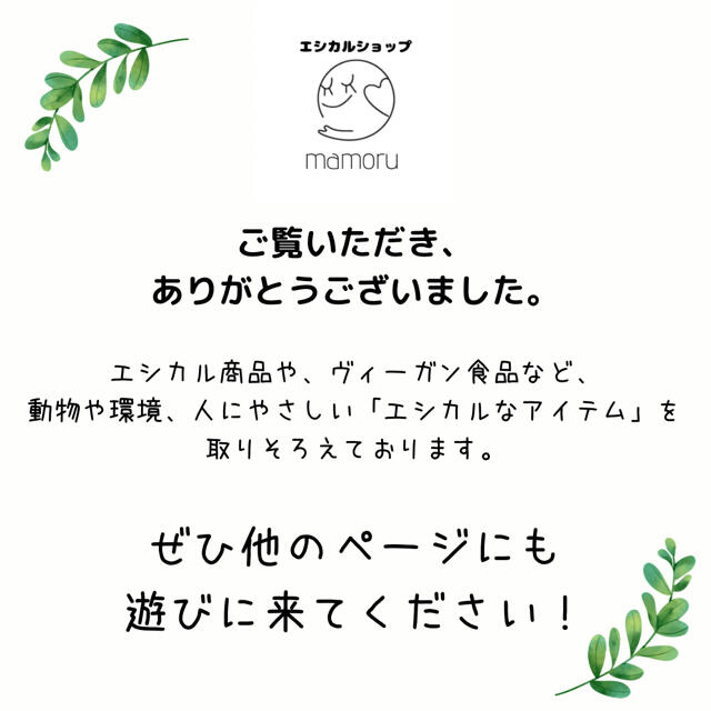 ヴィーガンシャンプーバー 99g <界面活性剤・保存料なし、100%生分解性> コスメ/美容のヘアケア/スタイリング(シャンプー)の商品写真