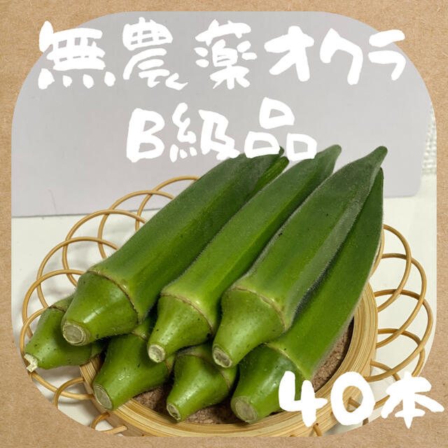 【明日以降発送致します】無農薬オクラ 食品/飲料/酒の食品(野菜)の商品写真