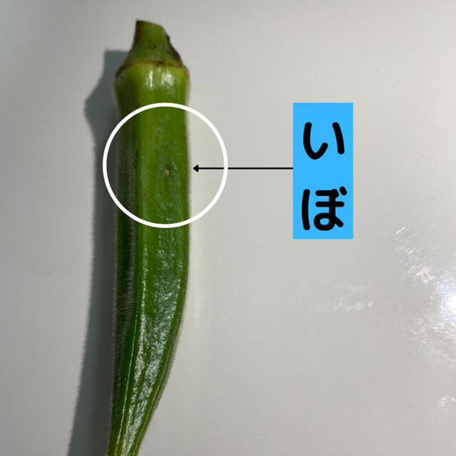 【明日以降発送致します】無農薬オクラ 食品/飲料/酒の食品(野菜)の商品写真