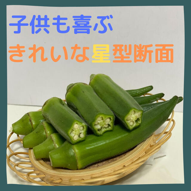 【明日以降発送致します】無農薬オクラ 食品/飲料/酒の食品(野菜)の商品写真