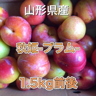 92401 山形県産 プラム 秋姫 1.5kg前後 サイズおまかせ 訳あり(フルーツ)