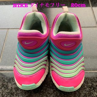 ナイキ(NIKE)のNIKE ダイナモフリーキッズ　20cm(スリッポン)