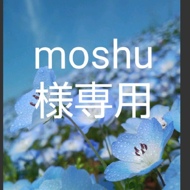 moshu様専用 その他のその他(その他)の商品写真