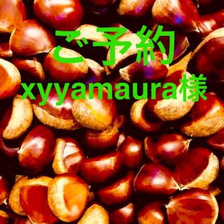 【注文】茨城県産　栗　xyyamaura様(野菜)