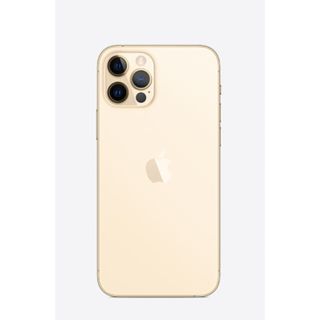 アップル(Apple)のえむ様専用 iPhone12 proMax 256GB SIMフリー ゴールド(スマートフォン本体)