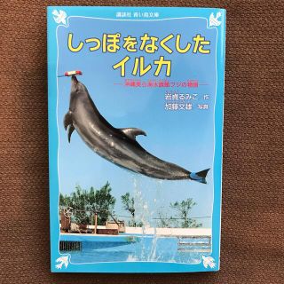 しっぽをなくしたイルカ 沖縄美ら海水族館フジの物語(絵本/児童書)