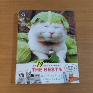 タカラジマシャ(宝島社)ののせ猫プレミアム　猫写真集(その他)