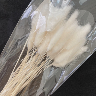 ラグラス ❁ 白 1袋全量   花材 ドライフラワー ホワイト 花材詰め合わせ (ドライフラワー)