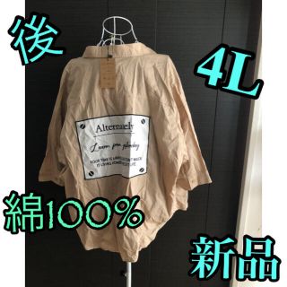 wish様専用　バックプリント★プルオーバー　大きいサイズ(シャツ/ブラウス(半袖/袖なし))