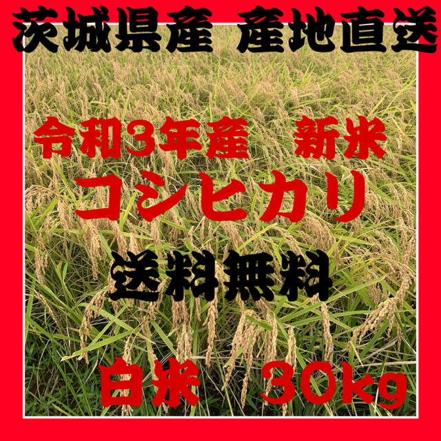 精米【セール最終日】新米　令和3年産　茨城県産　コシヒカリ　白米30キロ　30kg