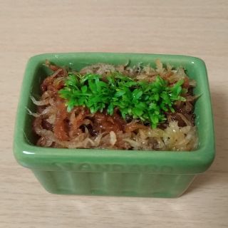 ミミカキグサ 鉢植え(その他)