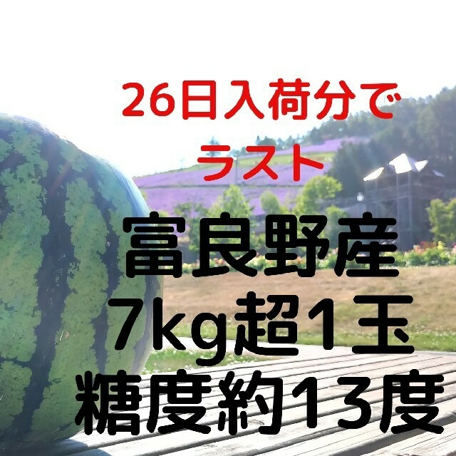 富良野産スイカ7kg超1玉  家庭用 訳あり商品 ハネ品 食品/飲料/酒の食品(フルーツ)の商品写真