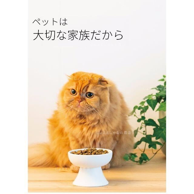 陶器製 猫 犬 フードボウル ペット用食器 おやつ　餌入れ 水やり 2個 その他のペット用品(猫)の商品写真