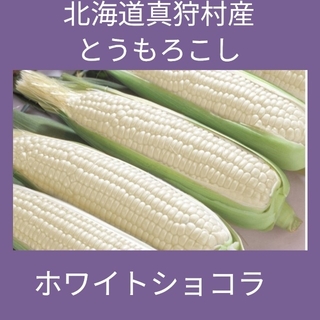 北海道真狩村産とうもろこし、品種はホワイトショコラ(野菜)