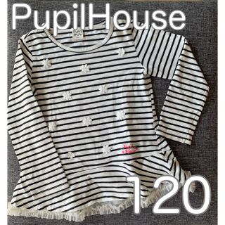 ナルミヤ インターナショナル(NARUMIYA INTERNATIONAL)のPupil House 花柄刺繍ボーダー長袖トップス 120(Tシャツ/カットソー)