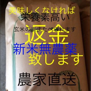 専用　無農薬　純こしひかり60キロ玄米(米/穀物)