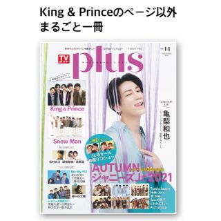 ジャニーズ(Johnny's)のTVガイドplus vol.44 表紙なし抜けありまるごと一冊(音楽/芸能)