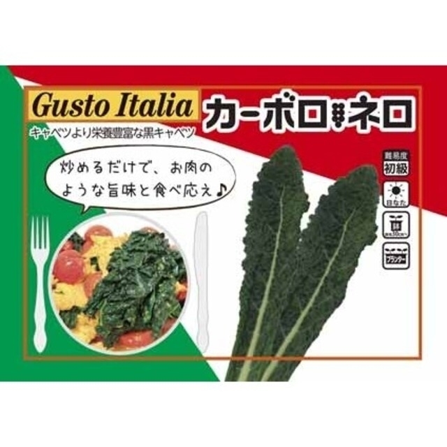 黒キャベツ(カーボロネロ/黒ケール)　完全無農薬　イタリア野菜　300gオーバー 食品/飲料/酒の食品(野菜)の商品写真