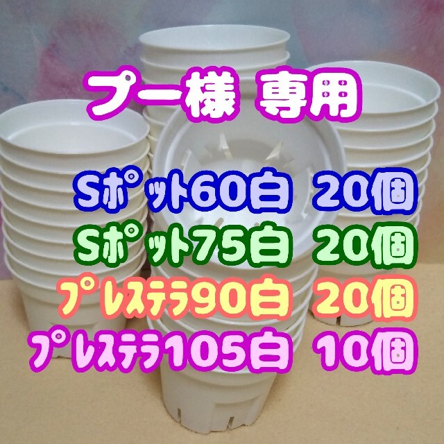 【スリット鉢】Ｓポット丸型60白20個 2号6cm他 プレステラ 多肉植物プラ鉢 ハンドメイドのフラワー/ガーデン(プランター)の商品写真