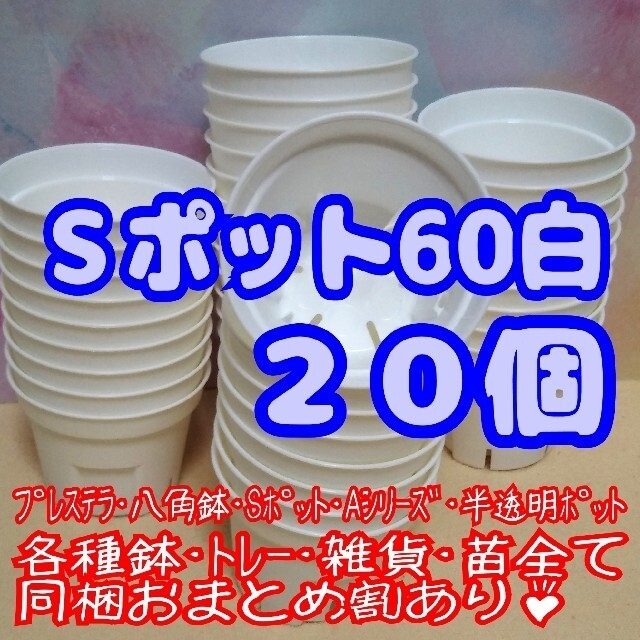 【スリット鉢】Ｓポット丸型60白20個 2号6cm他 プレステラ 多肉植物プラ鉢 ハンドメイドのフラワー/ガーデン(プランター)の商品写真