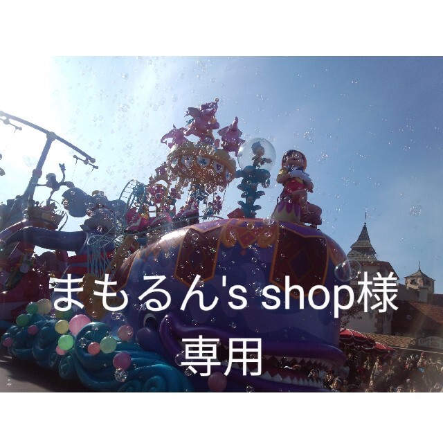 まもるん's shop様　専用 チケットの施設利用券(遊園地/テーマパーク)の商品写真