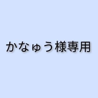 ポケモン(ポケモン)のかなゅう様専用ページ(ファッション雑貨)