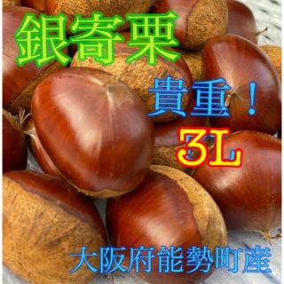 栗　銀寄栗　3L 2キロ(野菜)