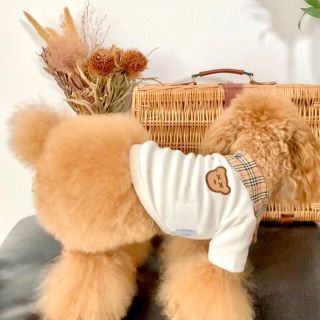 犬服　ペット服　ドッグウェア　可愛い　オシャレ　犬用品　トップス(犬)