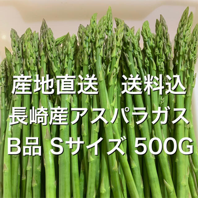 産地直送 長崎産アスパラガス B品Sサイズ500G 食品/飲料/酒の食品(野菜)の商品写真