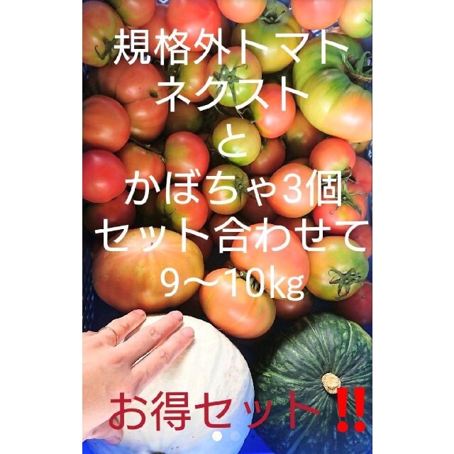 割れのひどい わけありトマト【品種】ネクストとかぼちゃ3個まで合わせて9～10㎏ 食品/飲料/酒の食品(野菜)の商品写真